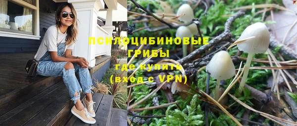 mdpv Елизово