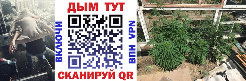 Купить закладки  Черняховск  Канабис MAZAR 
